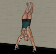 Push Up - Bar Hand Stand Wide Grip